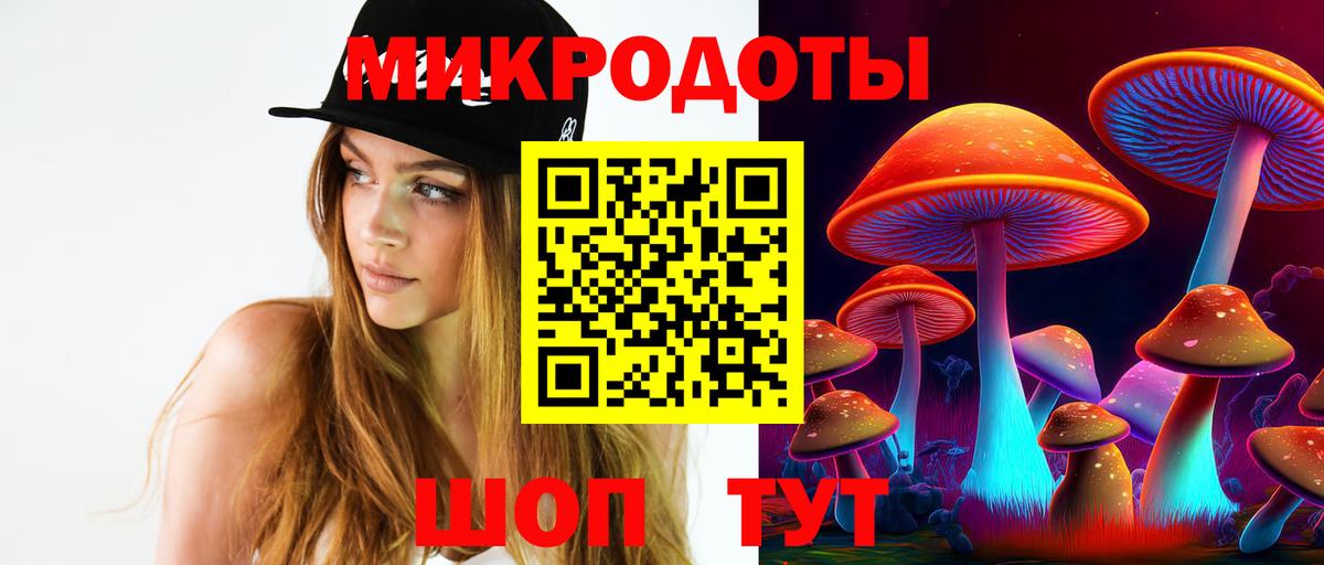 Псилоцибиновые грибы прущие грибы  Вход с VPN  Псилоцибиновые грибы ЛСД  Верхняя Пышма 